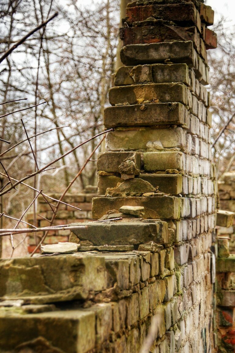 Ruiny domu, Krzeszowice, województwo małopolskie - zdjęcie 1