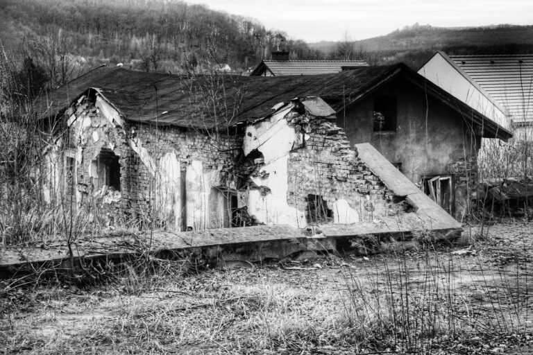 Pałac Potockich i pobliska szklarnia, Krzeszowice, województwo małopolskie - zdjęcie z relacji 9