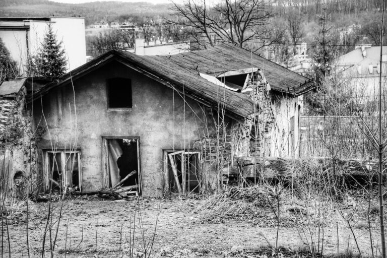 Pałac Potockich i pobliska szklarnia, Krzeszowice, województwo małopolskie - zdjęcie z relacji 8
