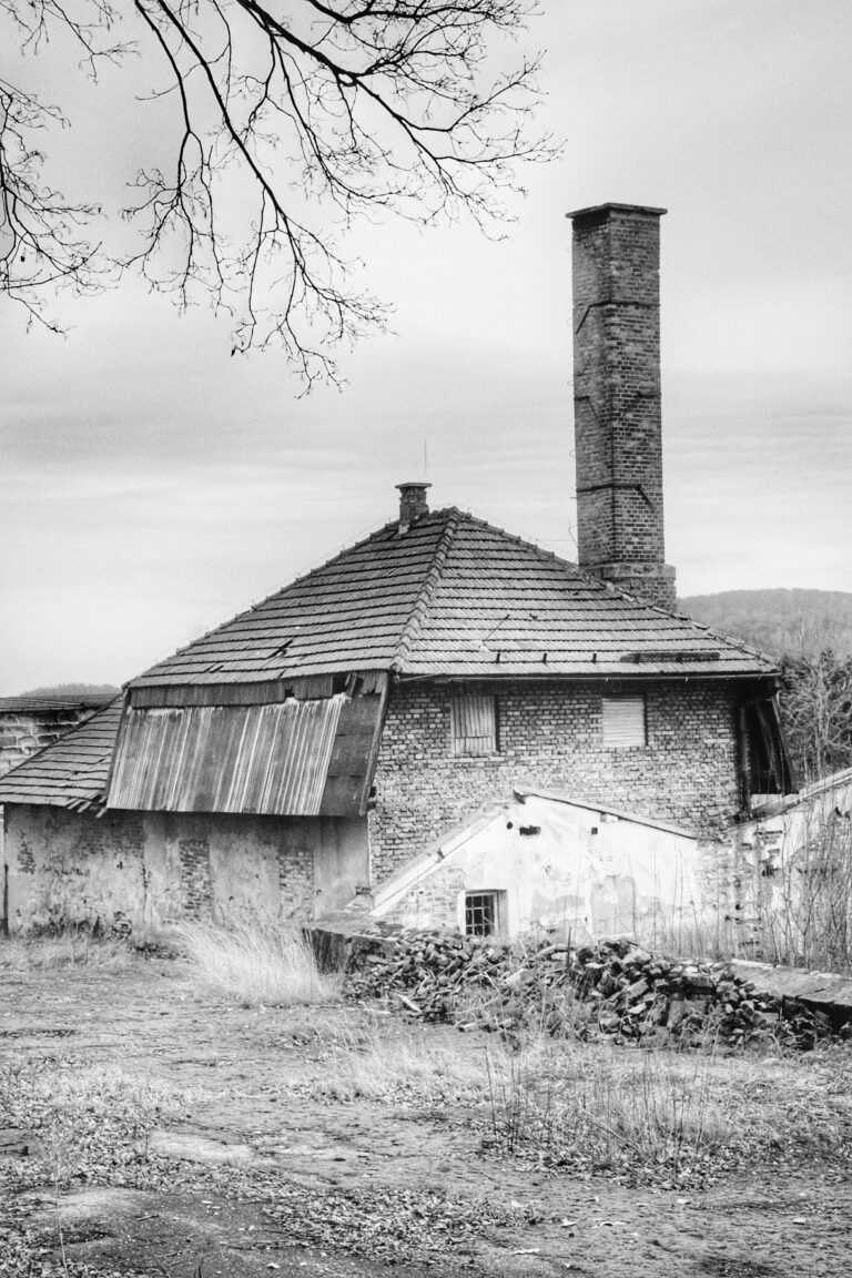Pałac Potockich i pobliska szklarnia, Krzeszowice, województwo małopolskie - zdjęcie z relacji 7