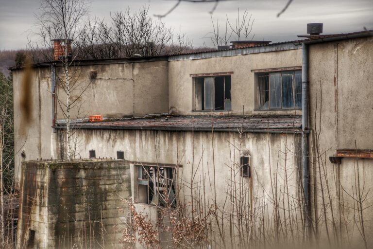 Pałac Potockich i pobliska szklarnia, Krzeszowice, województwo małopolskie - zdjęcie z relacji 6