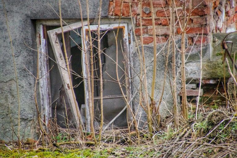 Pałac Potockich i pobliska szklarnia, Krzeszowice, województwo małopolskie - zdjęcie z relacji 4