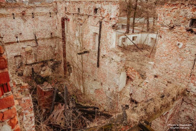 Młyn Lelitów, Kraków, województwo małopolskie - relacja z 02.2020, zdjęcie 3