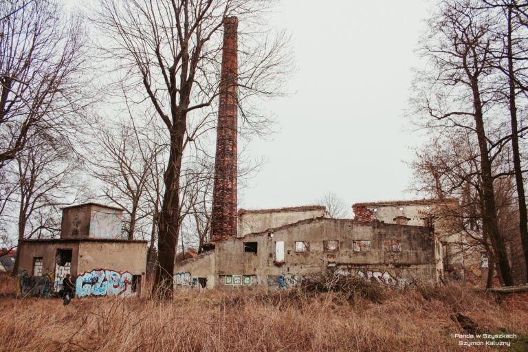 Młyn Lelitów, Kraków, województwo małopolskie - relacja z 02.2020, zdjęcie 2