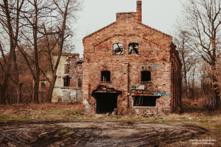Młyn Lelitów, Kraków, województwo małopolskie - relacja z 02.2020, zdjęcie 1
