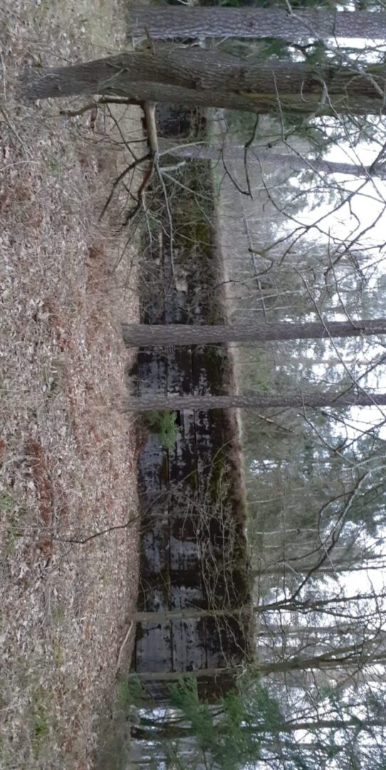 Kwatera Göringa Breitenheide / ośrodek naukowo-badawczy Luftwaffe, Jagodzin, województwo warmińsko-mazurskie