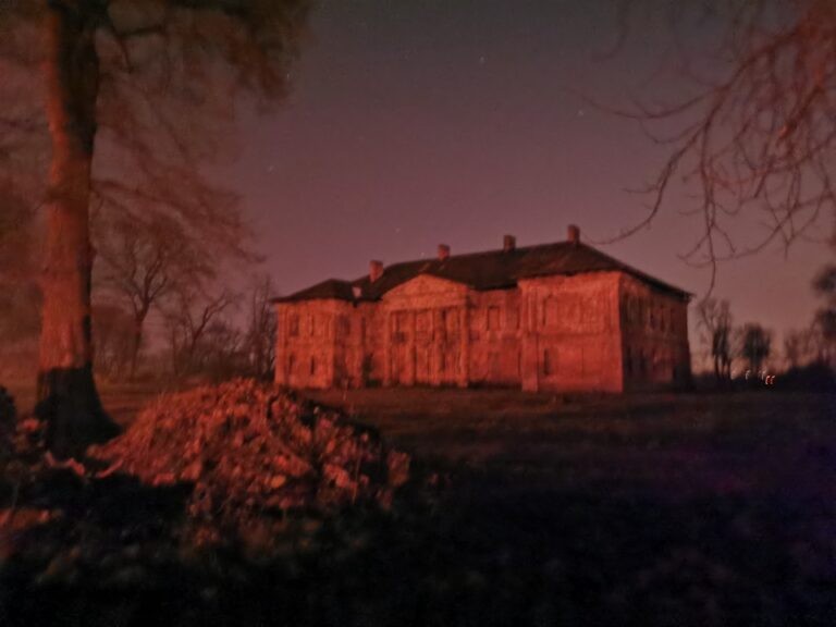 Pałac w Kościelnikach, Tropiszów, województwo małopolskie - relacja z 04.2020, zdjęcie 2