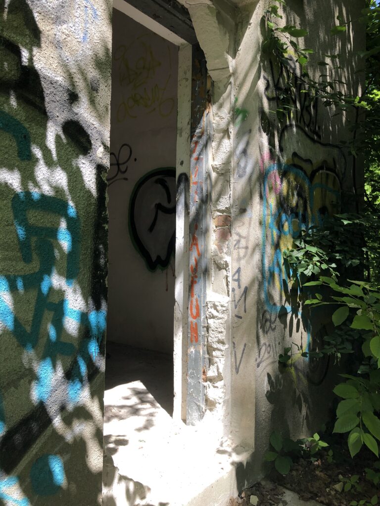 Ogrodzony teren w Lesie Kabackim, Warszawa, województwo mazowieckie - zdjęcie 5