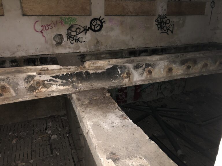 Ogrodzony teren w Lesie Kabackim, Warszawa, województwo mazowieckie - zdjęcie 4