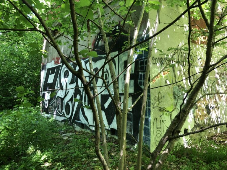 Ogrodzony teren w Lesie Kabackim, Warszawa, województwo mazowieckie - zdjęcie 2