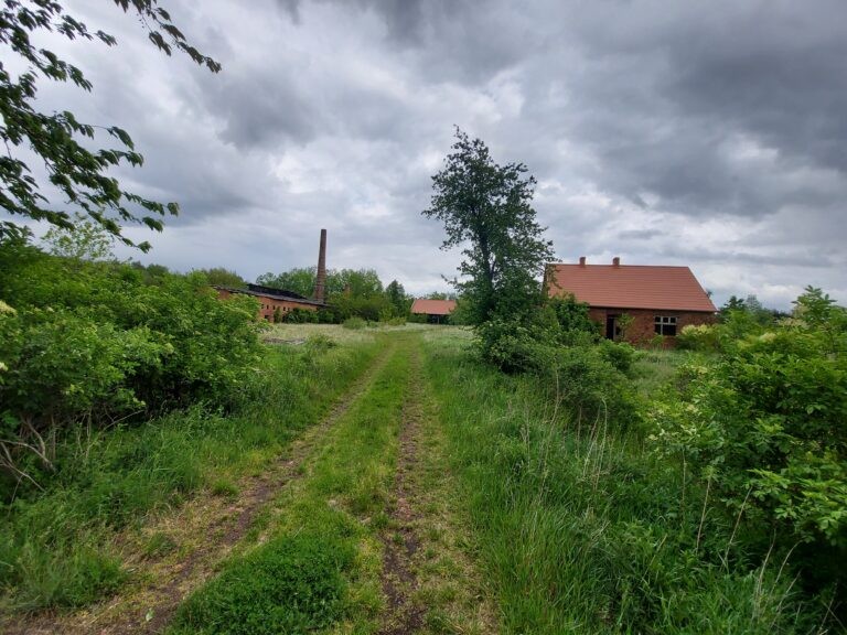 Cegielnia Ostrowieczno k. Dolska, Ostrowieczko, województwo wielkopolskie - relacja z 05.2020, zdjęcie 10
