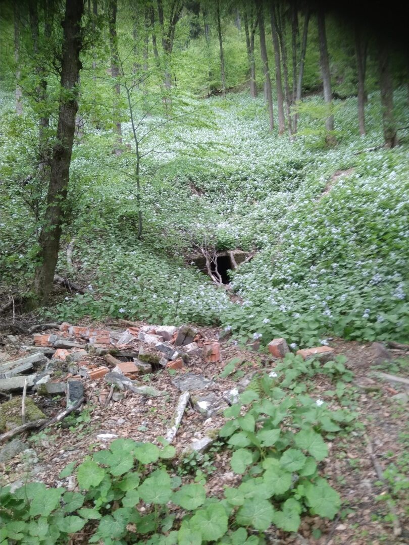 Sztolnia rycerska Dzikowiec, Boguszów-Gorce, województwo dolnośląskie