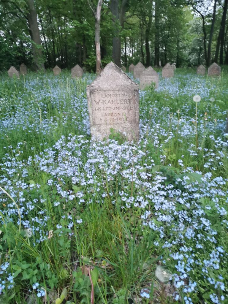 Cmentarz Wojenny z I Wojny Światowej, Bechcice-Kolonia, województwo łódzkie - relacja z 05.2020, zdjęcie 3