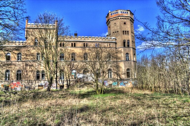 Opuszczony pałac w Świniarach, Wrocław, województwo dolnośląskie - relacja z 03.2020, zdjęcie 10