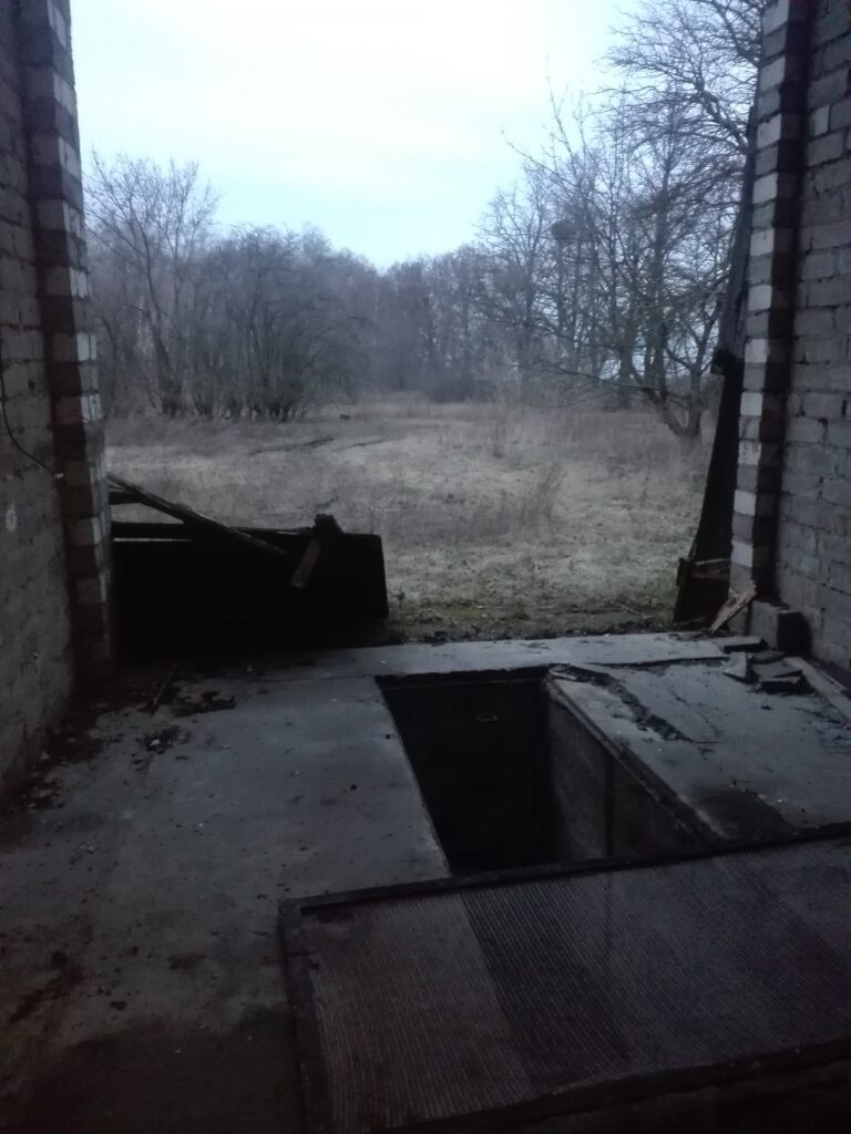 Szkółka Leśna, Kończewice, województwo kujawsko-pomorskie - zdjęcie 7