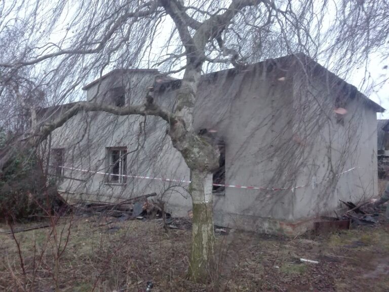 Szkółka Leśna, Kończewice, województwo kujawsko-pomorskie - zdjęcie 4