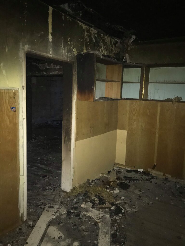 Szkółka Leśna, Kończewice, województwo kujawsko-pomorskie - zdjęcie 1