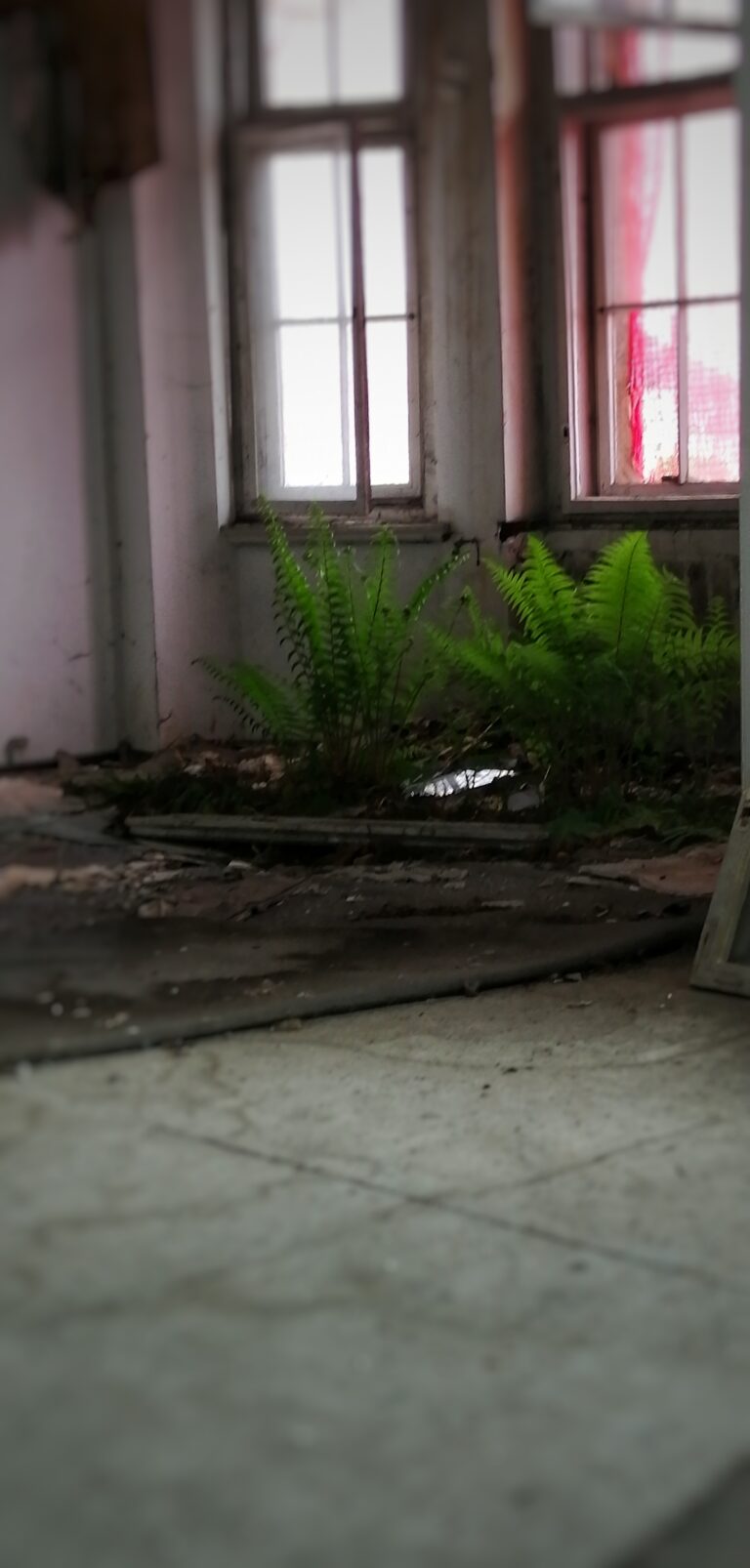 Hotel Polonia Dzierżoniów, Dzierżoniów, województwo dolnośląskie - relacja z 05.2020, zdjęcie 15