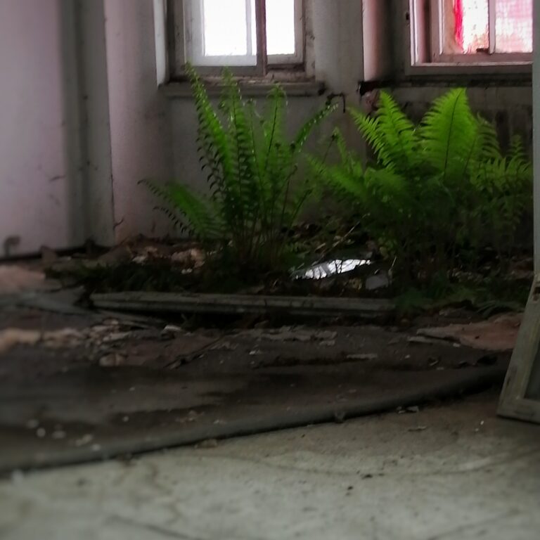 Hotel Polonia Dzierżoniów, Dzierżoniów, województwo dolnośląskie - relacja z 05.2020, zdjęcie 10