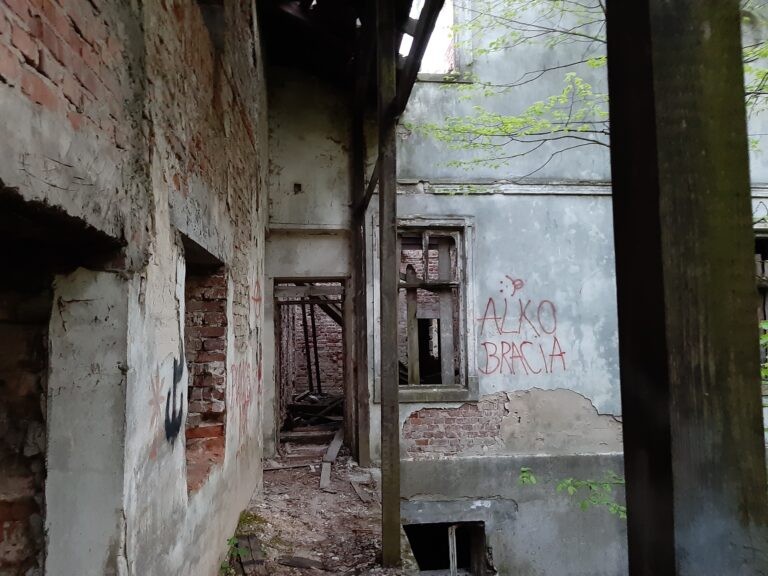Dwor Czartoryskich, Dąbrowica, województwo podkarpackie - zdjęcie 4