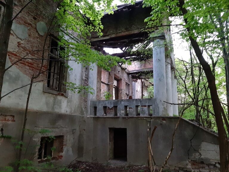 Dwor Czartoryskich, Dąbrowica, województwo podkarpackie - zdjęcie 1