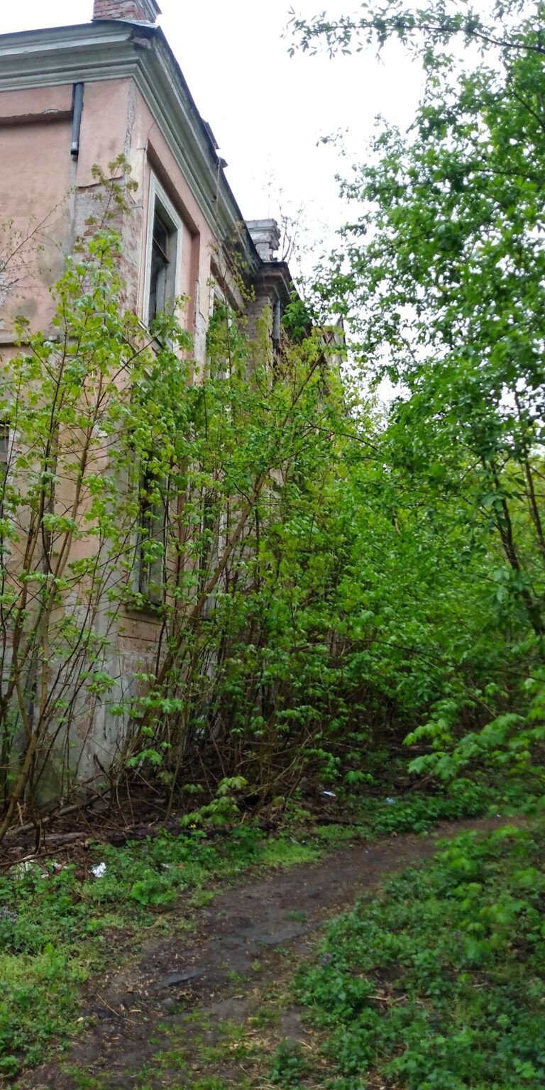 Dworek Nowy Duninów, Nowy Duninów, województwo mazowieckie - zdjęcie 1
