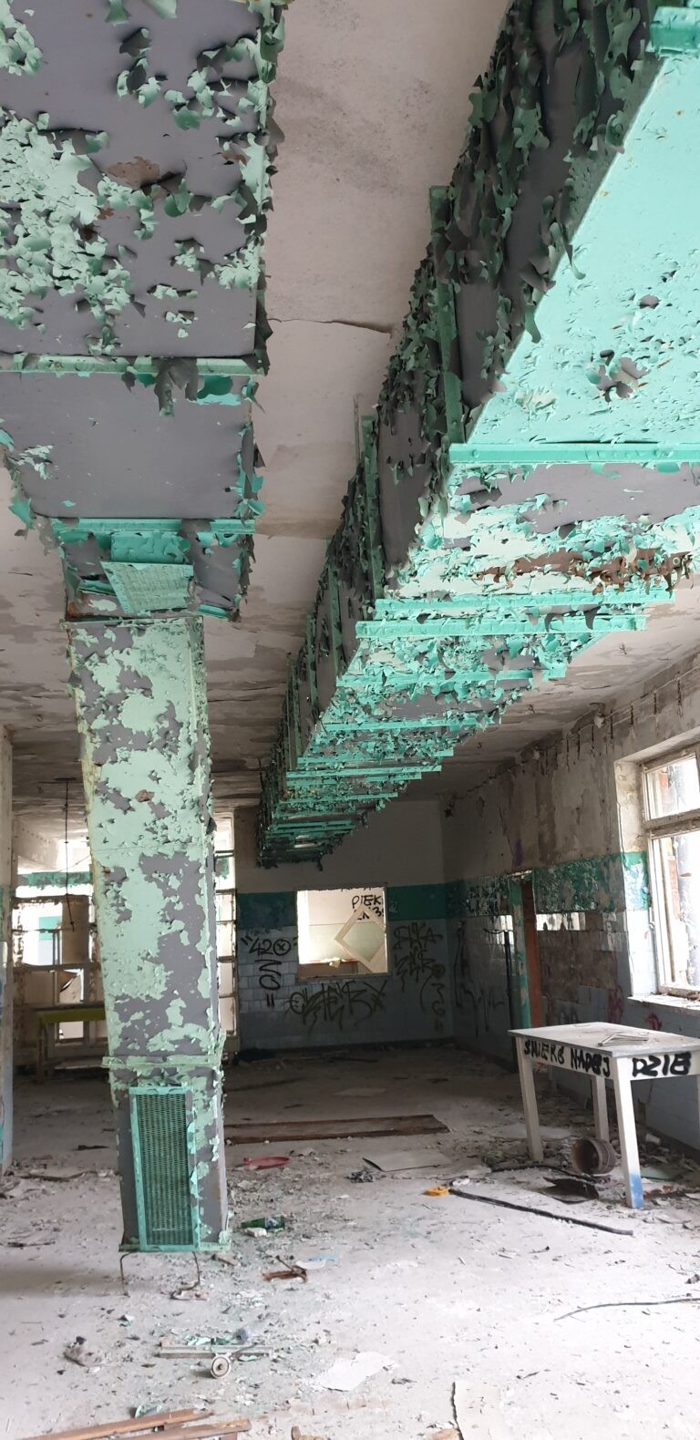 Okrąglaki, Miałkówek, województwo mazowieckie - relacja z 05.2020, zdjęcie 23