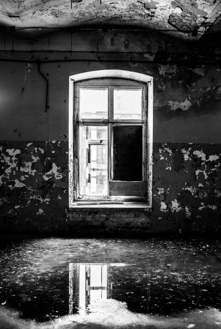 Zakłady Przemysłu Pończoszniczego Stella, Żyrardów, województwo mazowieckie - relacja z 06.2020, zdjęcie 6