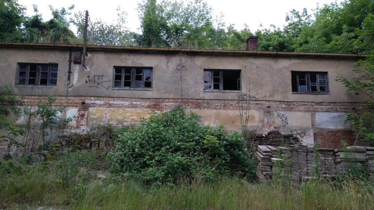 Instytut genetyki roślin, Poznań, województwo wielkopolskie - relacja z 06.2020, zdjęcie 30