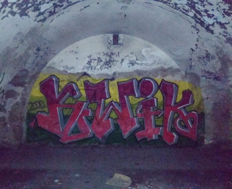 Fort 50 Prokocim, Kraków, województwo małopolskie - relacja z 06.2020, zdjęcie 7