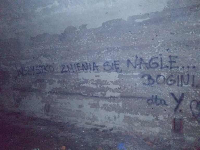 Fort 50 Prokocim, Kraków, województwo małopolskie - relacja z 06.2020, zdjęcie 6