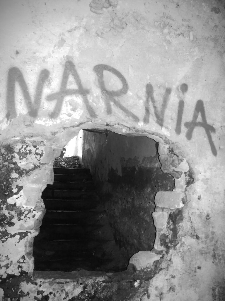 Fort 50 Prokocim, Kraków, województwo małopolskie - relacja z 06.2020, zdjęcie 5