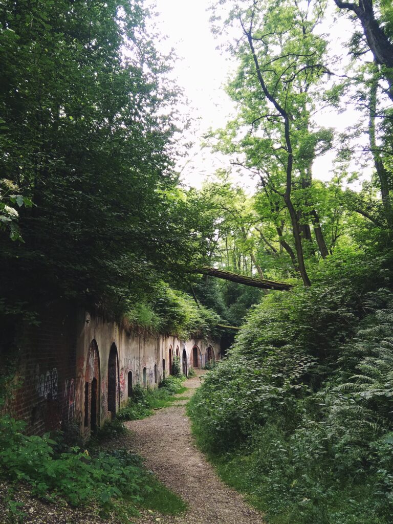 Fort 50 Prokocim, Kraków, województwo małopolskie - relacja z 06.2020, zdjęcie 2