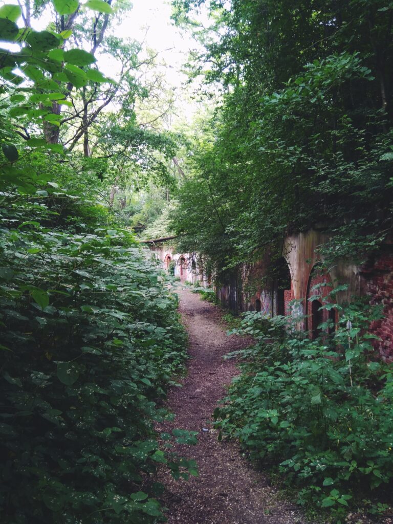 Fort 50 Prokocim, Kraków, województwo małopolskie - relacja z 06.2020, zdjęcie 1