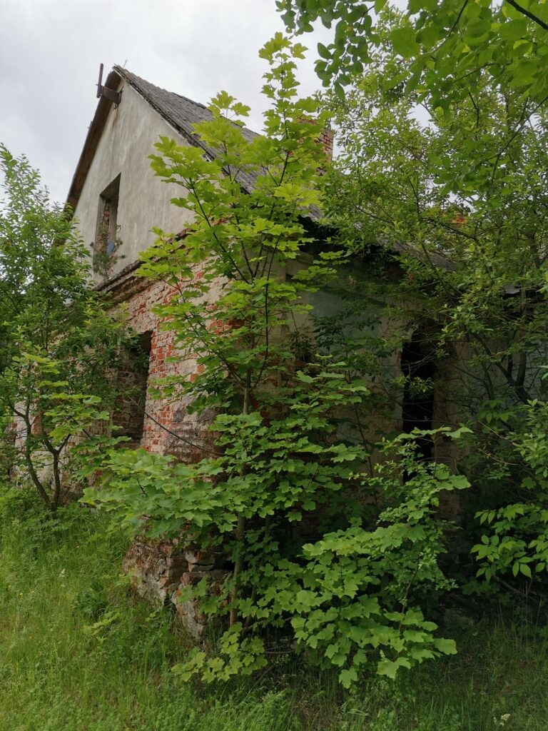 Opuszczony Dwór, Wólka Leszczańska, województwo lubelskie - zdjęcie 3
