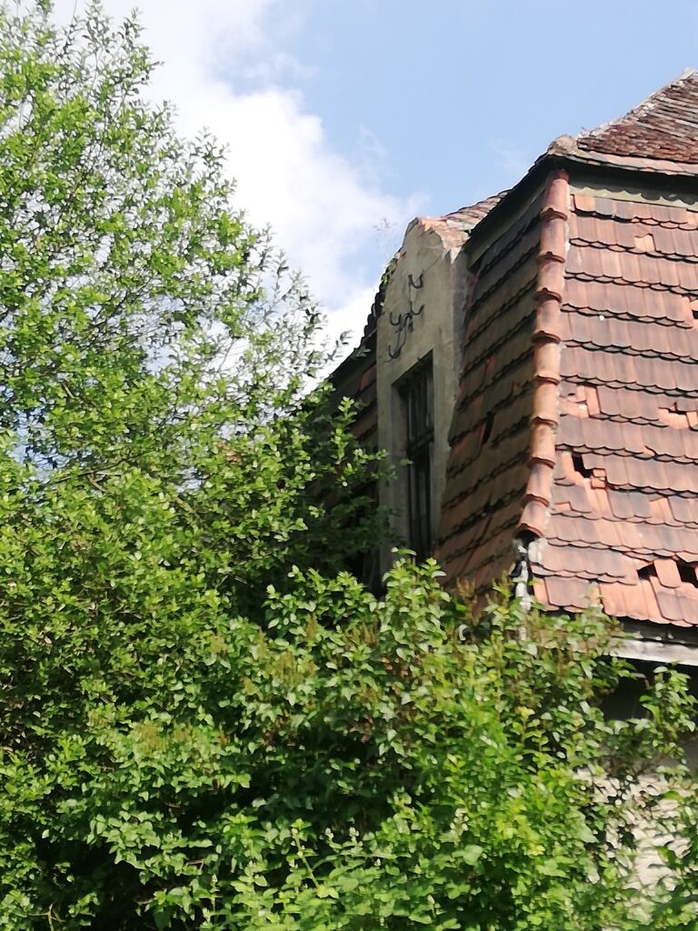 Ruiny Dworu – Świętoszowice, Świętoszowice, województwo śląskie - zdjęcie 8