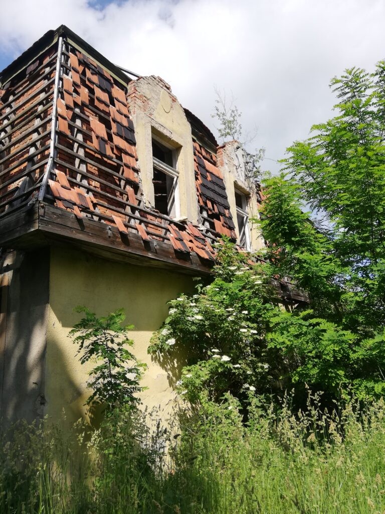 Ruiny Dworu – Świętoszowice, Świętoszowice, województwo śląskie - zdjęcie 6