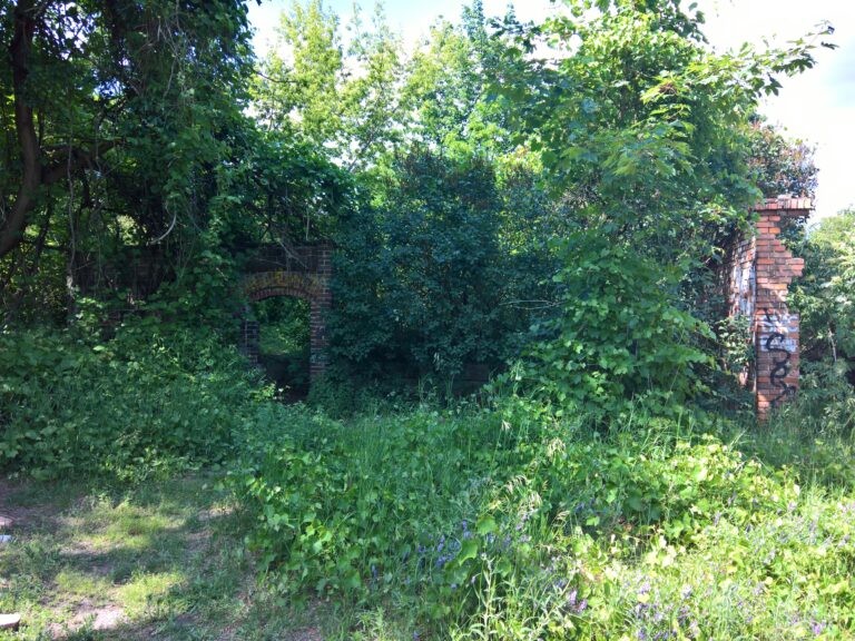 Mauzoleum Mielochów, Poznań, województwo wielkopolskie - zdjęcie z relacji 18