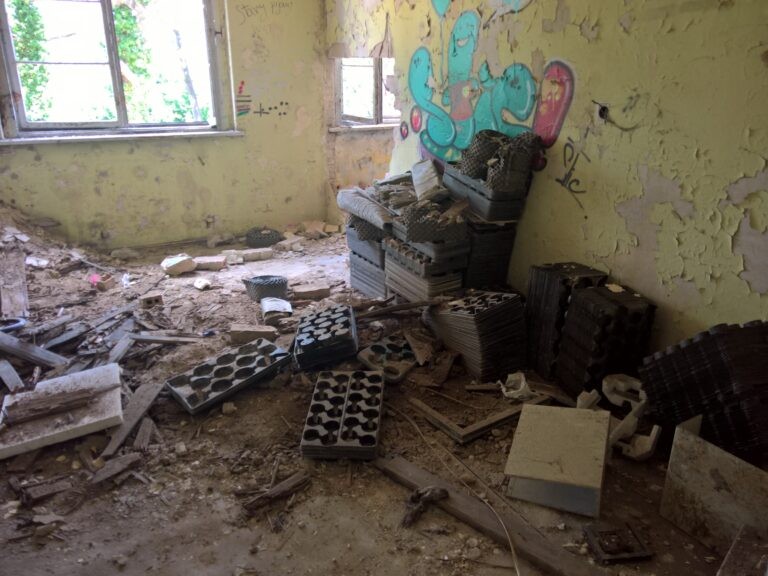 Instytut genetyki roślin, Poznań, województwo wielkopolskie - relacja z 06.2020, zdjęcie 28