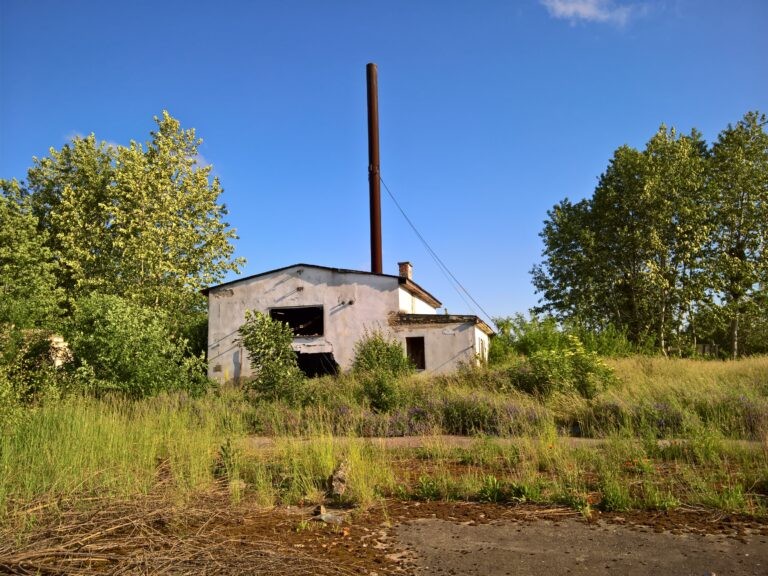 Przetwórnia “Sadki”, Sadki, województwo kujawsko-pomorskie - relacja z 06.2020, zdjęcie 12