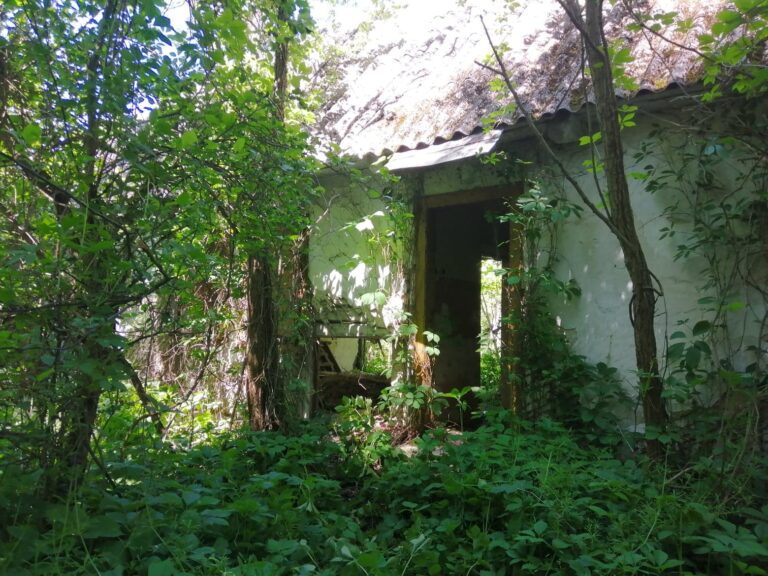 Opuszczony Dom w ukrytym miejscu, Brzeście, województwo świętokrzyskie - zdjęcie 7