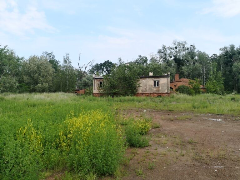 Cegielnia “Gotyka”, Czaple Wolne, województwo opolskie - relacja z 06.2020, zdjęcie 2