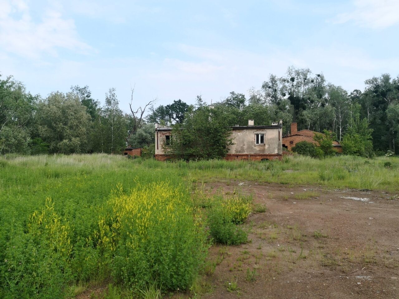 Cegielnia "Gotyka", Czaple Wolne, opolskie — zdjęcie 2