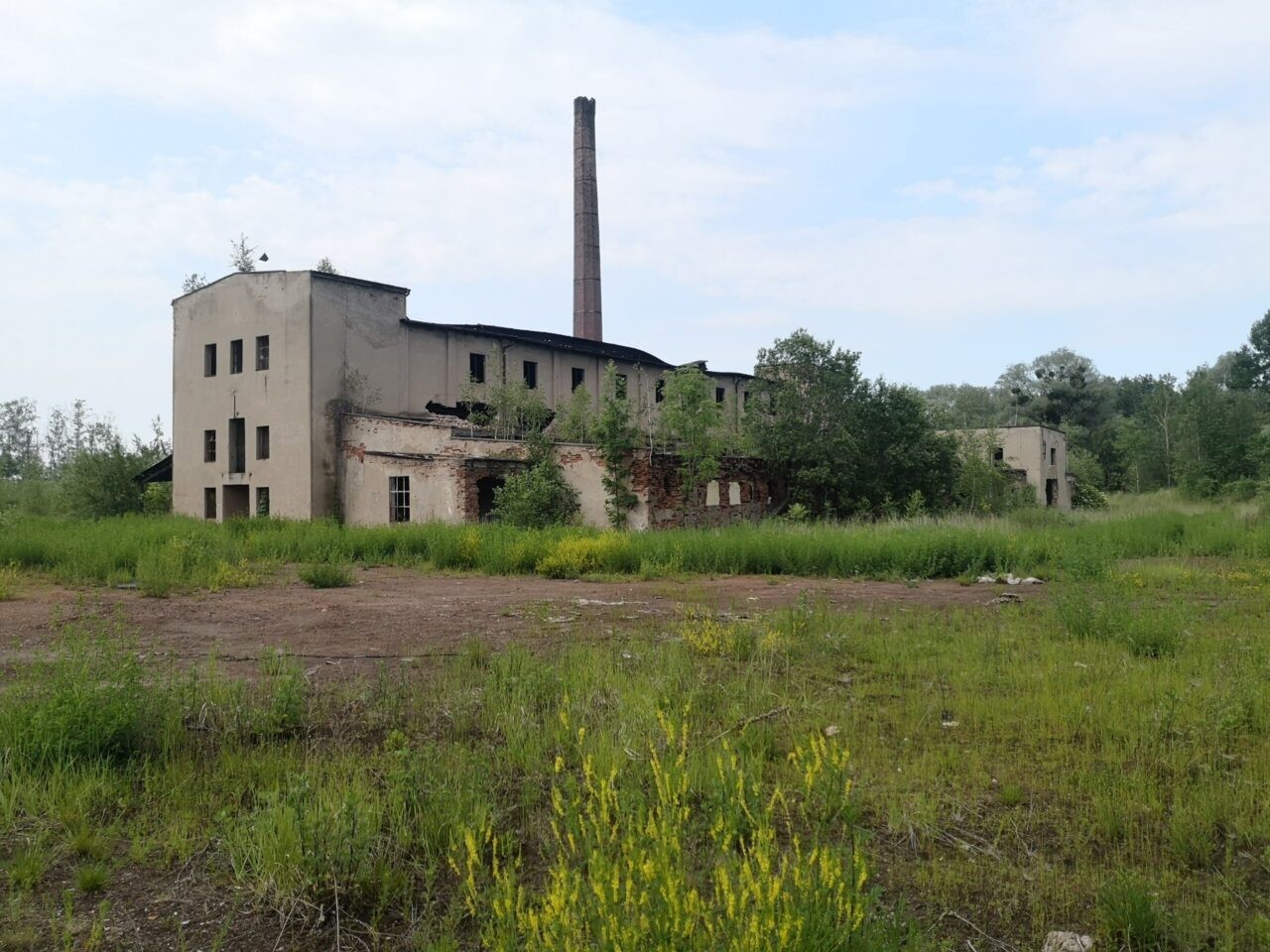 Cegielnia "Gotyka", Czaple Wolne, opolskie — zdjęcie 1
