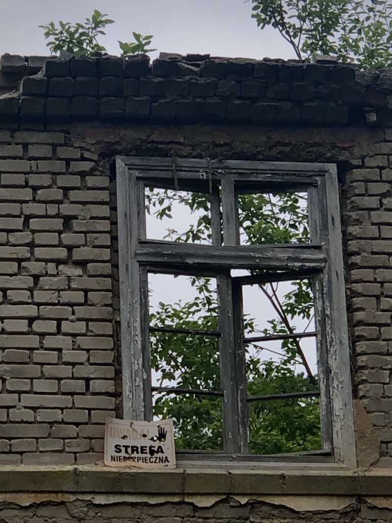 Ośrodek wypoczynkowy RUDKA, Rudziska Pasymskie, województwo warmińsko-mazurskie - relacja z 06.2020, zdjęcie 12
