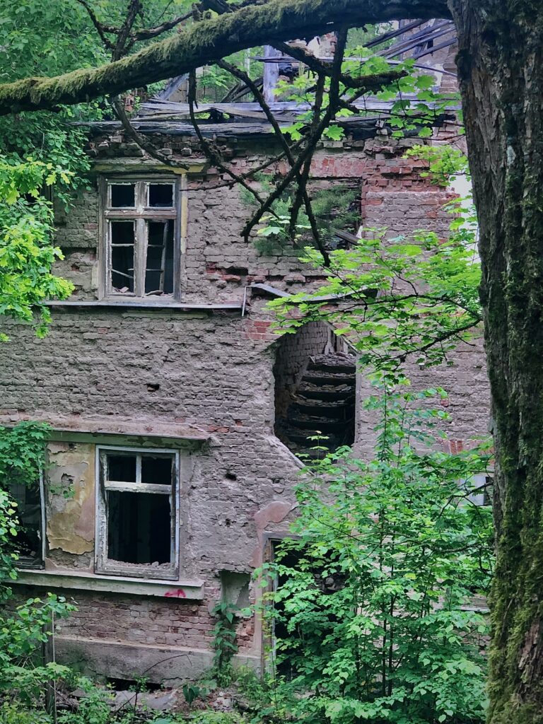 Ośrodek wypoczynkowy RUDKA, Rudziska Pasymskie, województwo warmińsko-mazurskie - relacja z 06.2020, zdjęcie 11