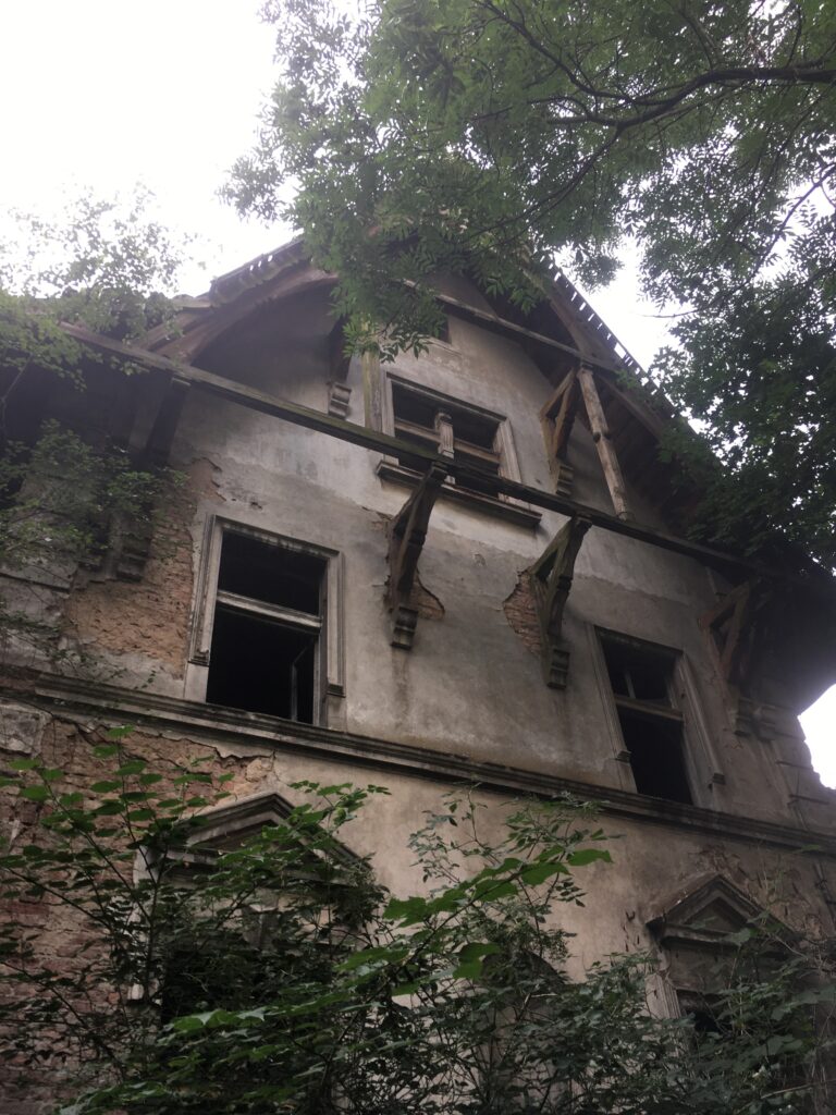 Dwór w Dzierżnicy, Dzierżnica, województwo wielkopolskie - relacja z 07.2020, zdjęcie 6
