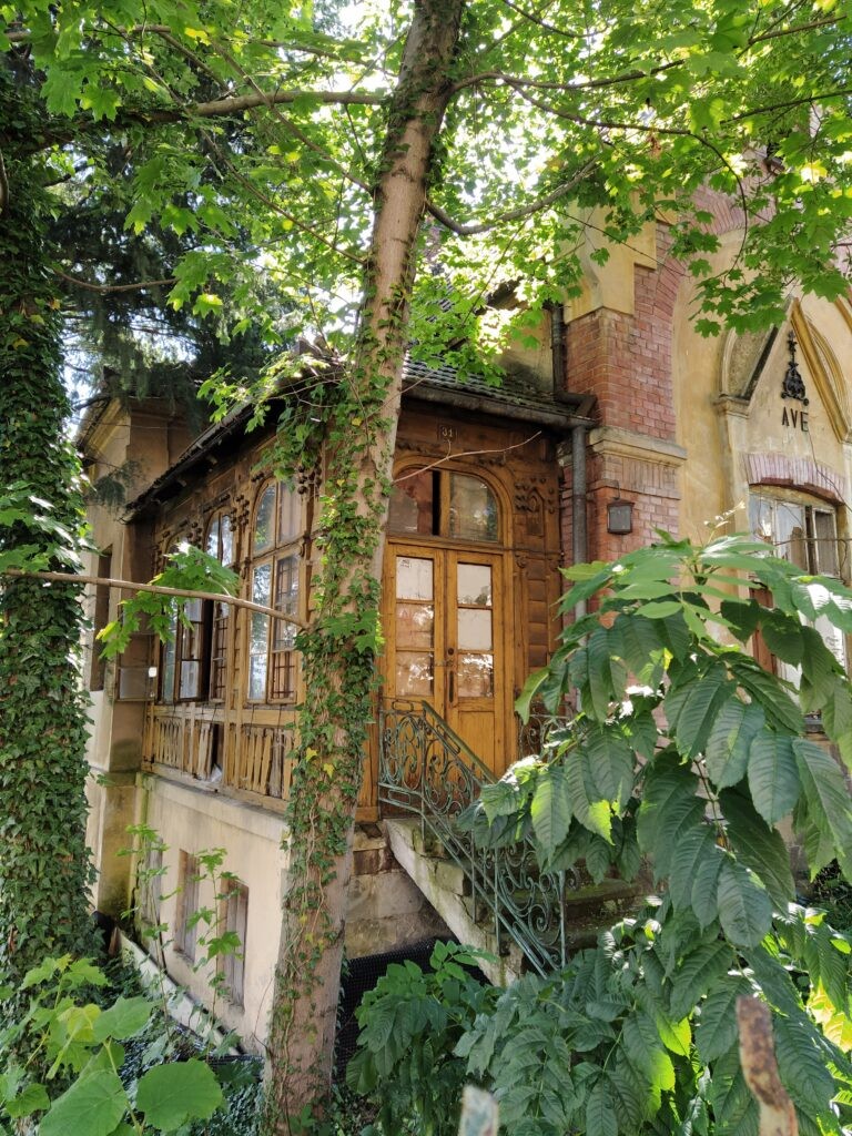 Willa AVE, Nowy Sącz, województwo małopolskie - zdjęcie 2