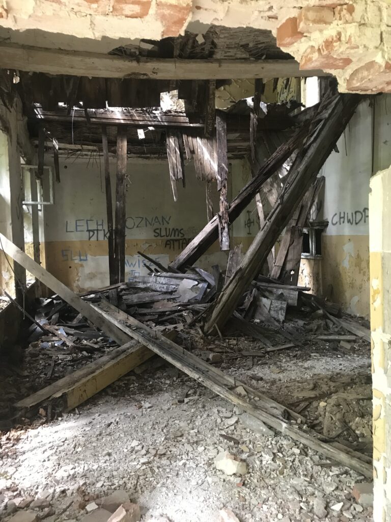 Opuszczony pałac w Zawiszy, Węgrzynice, województwo lubuskie - relacja z 07.2020, zdjęcie 10