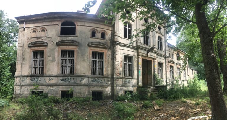 Opuszczony pałac w Zawiszy, Węgrzynice, województwo lubuskie - relacja z 07.2020, zdjęcie 9